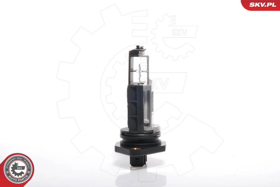 Mass Air Flow Sensor